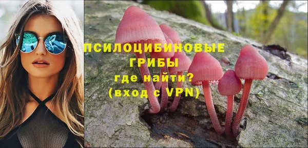 бошки Абдулино