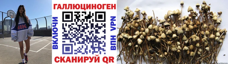 Галлюциногенные грибы Cubensis  hydra ТОР  Рязань  как найти закладки 